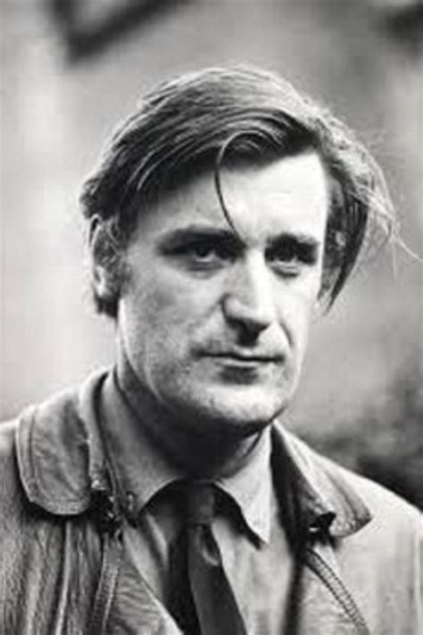 Analysis of the Poem "Hawk Roosting" by Ted Hughes | Owlcation