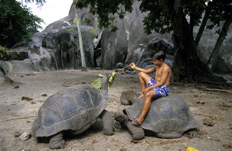 La Digue Island Attractions - Vision Voyages DMC Pty Ltd