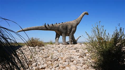 Brontosaurus Facts: Kids, Parents And Teachers Will Be Fond%