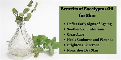 6 Benefits of Eucalyptus Oil (Nilgiri Oil) for Skin & Its Uses