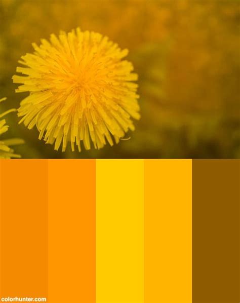 Dandelion In Yellow Color Palette | Color palette yellow, Dandelion ...