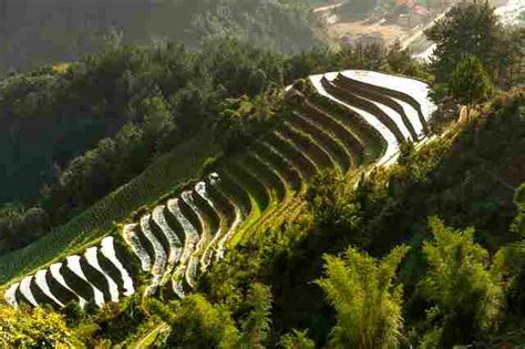 Awesome Terrace farming Around the World | terracing