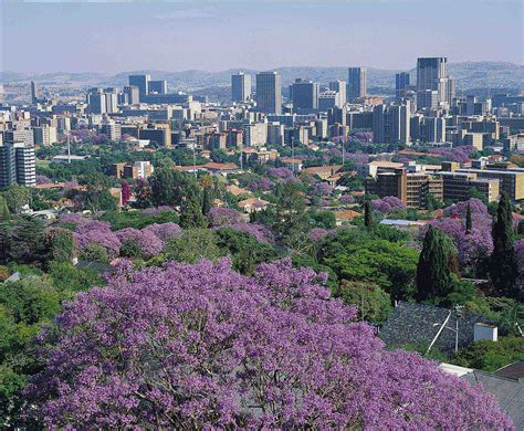 Jacaranda City, Tshwane, Pretoria, South Africa | Pretoria, … | Flickr
