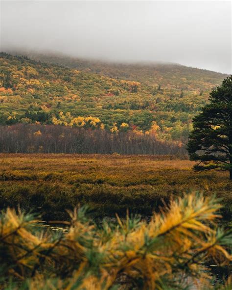 Acadia National Park in full fall colors [OC] [3217x4021] : r/EarthPorn