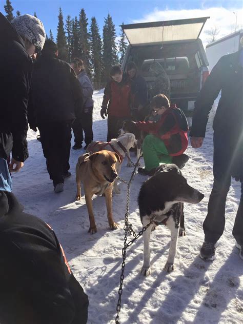 Photo’s from our visit to Tanana Valley Middle School | Noble Paws