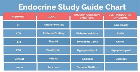 Endocrine System Cheat Sheet | Endocrine system nursing, Pathophysiology nursing, Nursing school ...