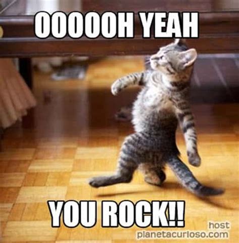 25 Memes To Say "You Rock!" - SayingImages.com