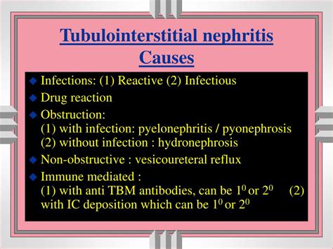 PPT - TUBULOINTERSTITIAL DISEASES Terminology PowerPoint Presentation, free download - ID:6775251