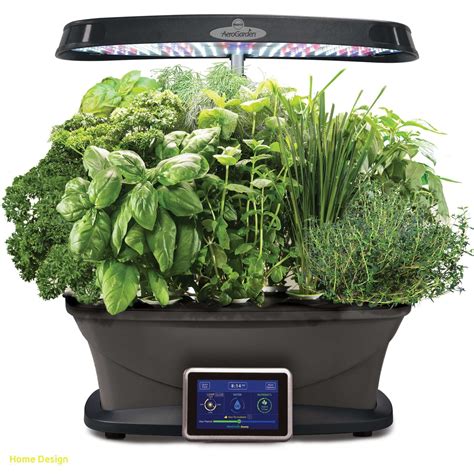 Inspirational Indoor Herb Garden Kit with Light | Gourmet herbs, Herb garden kit, Herb seeds