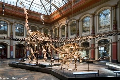 The Museum für Naturkunde, the natural history museum in Berlin, Germany | FamilyWithKids.com