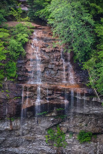 How to Find The Best Fall Creek Falls Hiking Trails