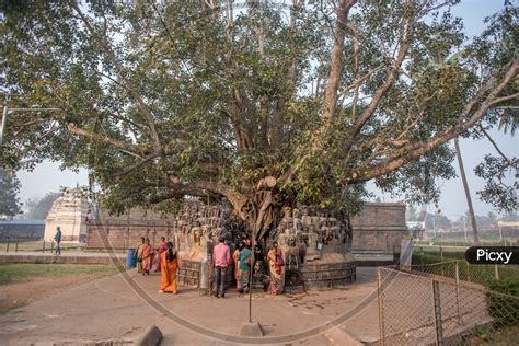 Image of Draksharamam temple-MX201015-Picxy