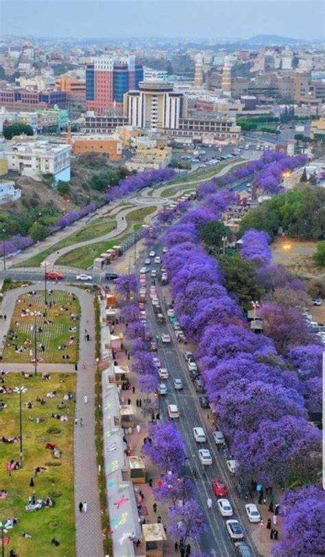 Abha, Saudi Arabia is looking beautiful : r/pics