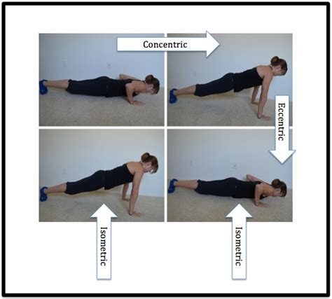 Types of Muscle Contractions | Redefining Strength