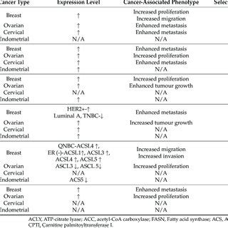 Summary of the various fatty acid metabolism enzymes and their effects ...