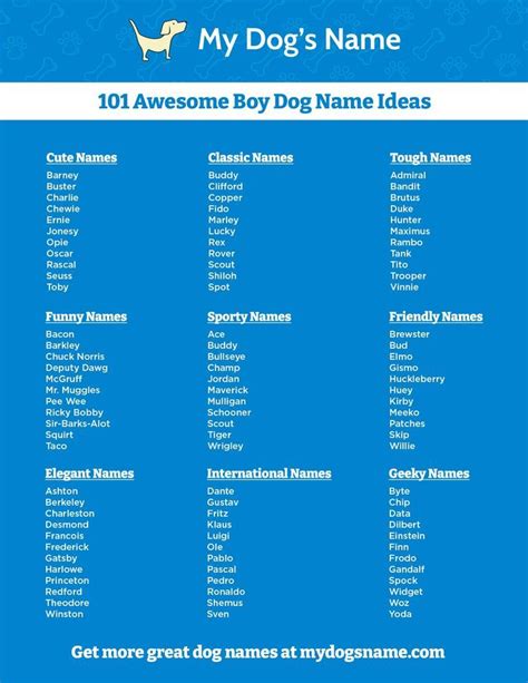 Boy Dog Names - 350 Ideas for Male Puppies - My Dog's Name | Boy dog ...