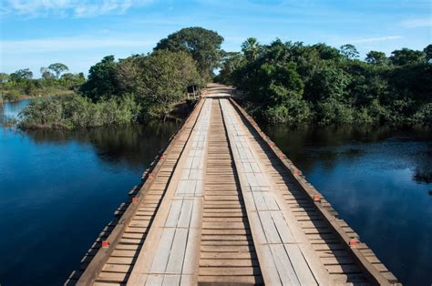 Where Is The Pantanal Exactly? Not in the Amazon Forest | Tripster Panda