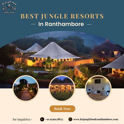 Best Luxury Resorts in Ranthambore | by The Jungle Book | Medium