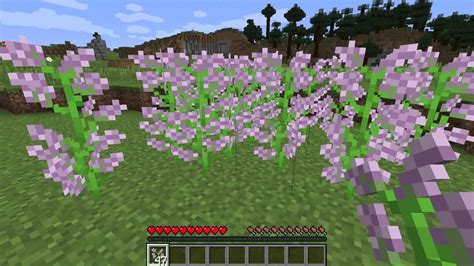 What is a Lilac - Minecraft Flowers - YouTube