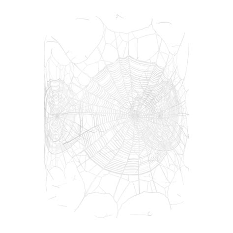 Spider Web / Cobweb Texture | Free PBR | TextureCan