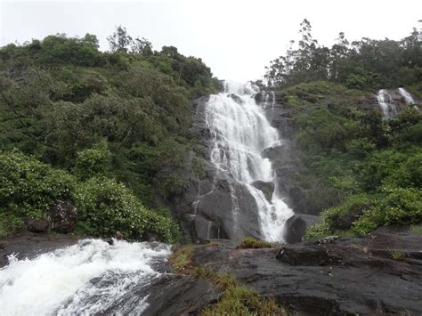 Eravikulam National Park and Eco tourism Activities | Trekking Packages Idukki | Eco Tourism in ...