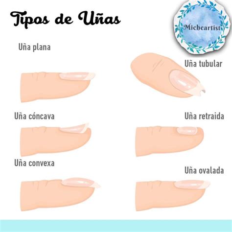 Pin en Uñas esculturales | Tutoriales de manicura, Tutorial de uñas ...