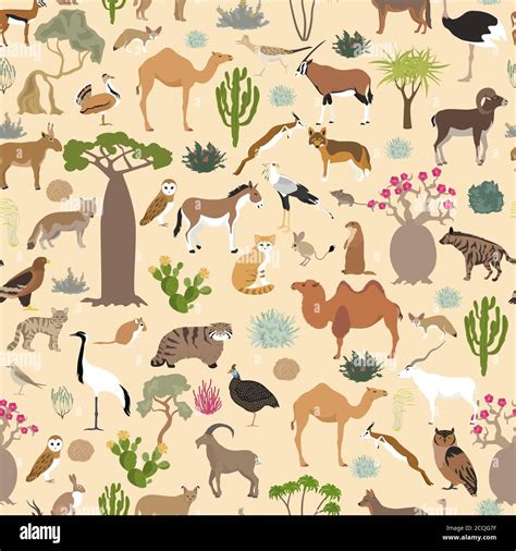 Desert biome, xeric shrubland biome, natural region seamless pattern. Terrestrial ecosystem ...