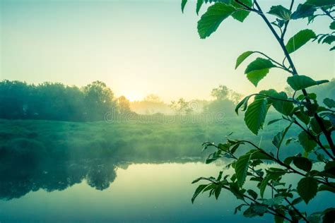 A Beautiful Summertime Scenery with Local Vegetation. Stock Image ...