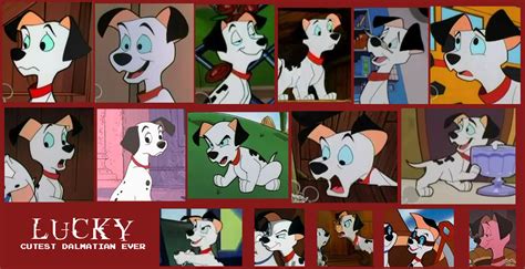 Lucky From 101 Dalmatians Collage by Scamp4553 on DeviantArt