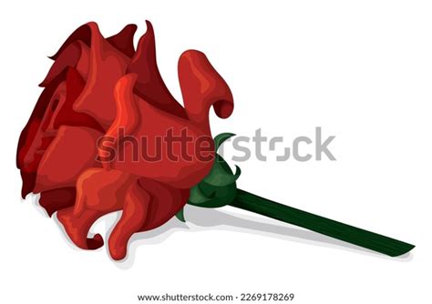 Red Rose Long Stem Cartoon Style Stock Vector (Royalty Free) 2269178269 | Shutterstock