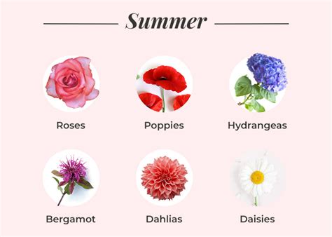 What Flowers Are In Season? A Seasonal Flower Guide