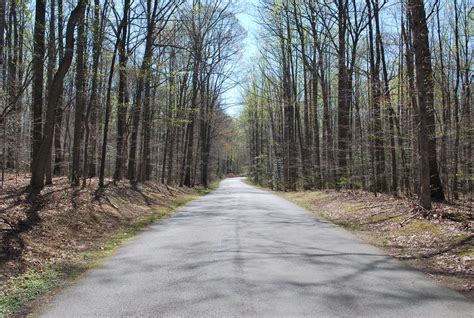 The Next Best Thing.....: Burke Lake Park