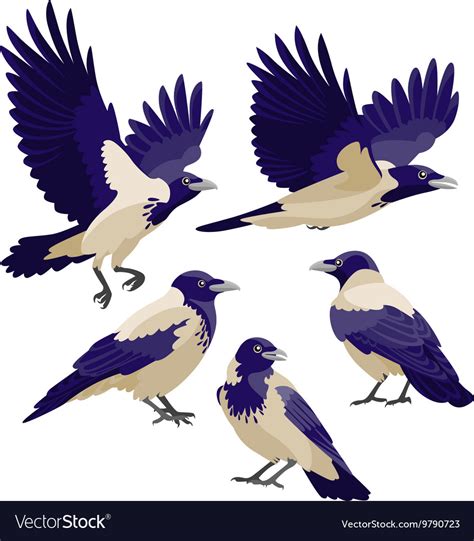 Crows on white background Royalty Free Vector Image