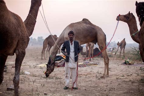 Inside India's surreal Pushkar Camel Fair | Adventure.com