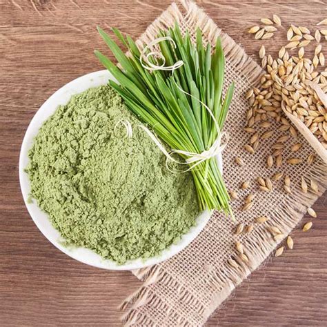 Barley Grass Powder – Neo Natural Industries