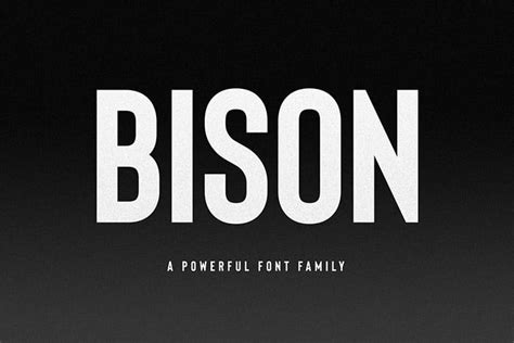 30+ Best Sans Serif Fonts to Download