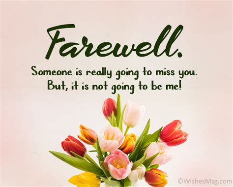 100+ Funny Farewell Messages and Quotes - WishesMsg