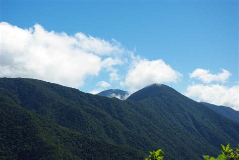 The Blue Mountains in Jamaica | Everything You Need to Know