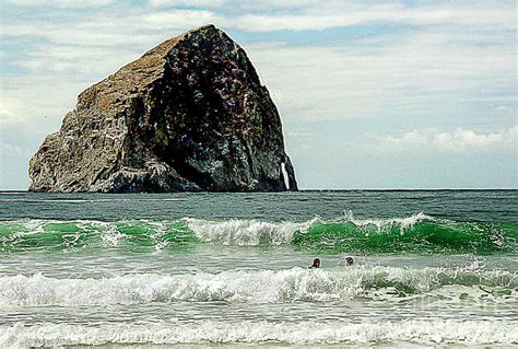 Oregon Pacific City Surfing Beach Photograph by Bob and Nadine Johnston