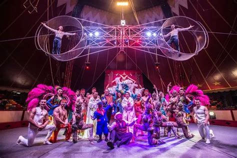 Review: Gandeys Circus at Aintree Racecourse - Liverpool Echo