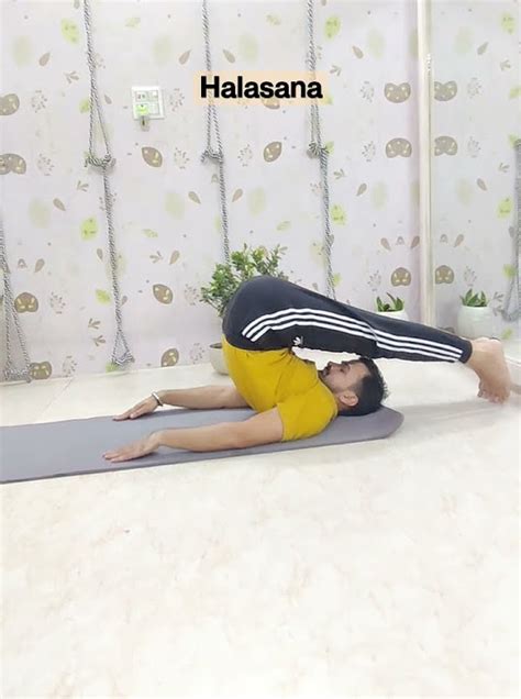 Halasana stretches spine and tones back muscles & relieve tightness in your neck, shoulders ...