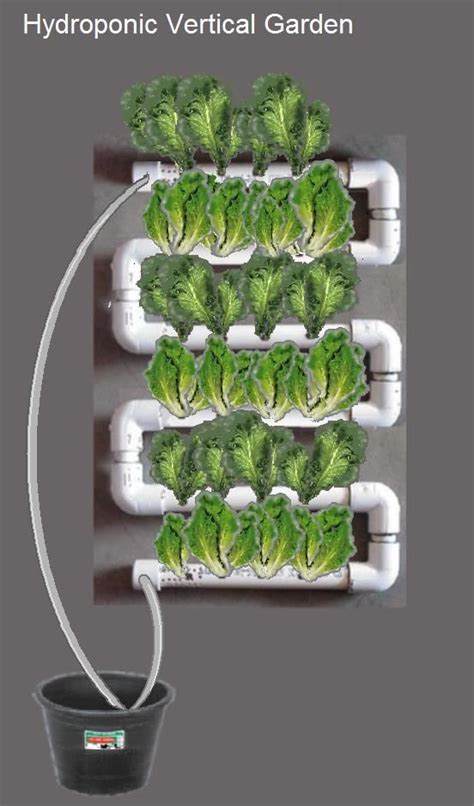 DIY Hydroponic Strawberries Garden System Instruction- #Gardening Tips ...