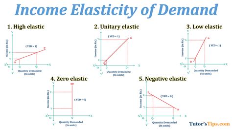 Income elasticity of demand and explained its types – Tutor's Tips