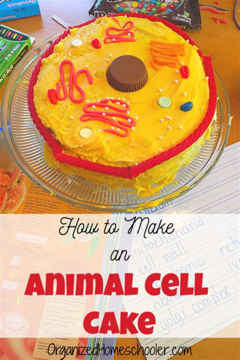 How to Make an Animal Cell Cake in 10 Steps ~ The Organized Homeschooler