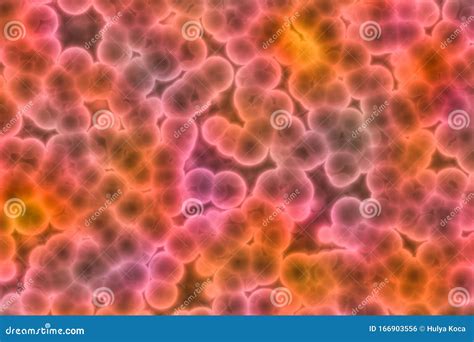 Shape of Bacterial Cell: Cocci, Bacilli, Spirilla Bacteria Stock Photo - Image of cancer, mold ...