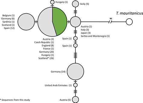 A new molecular diagnostic tool for surveying and monitoring Triops cancriformis populations [PeerJ]