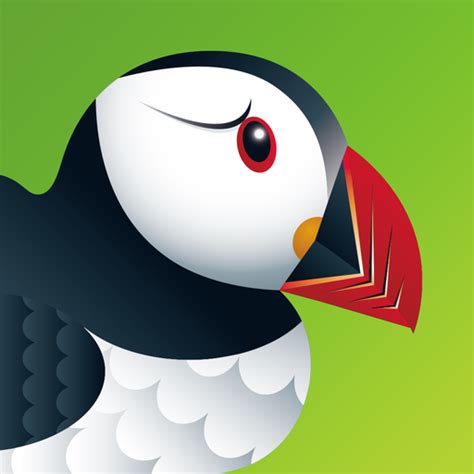 Puffin browser logo - Social media & Logos Icons