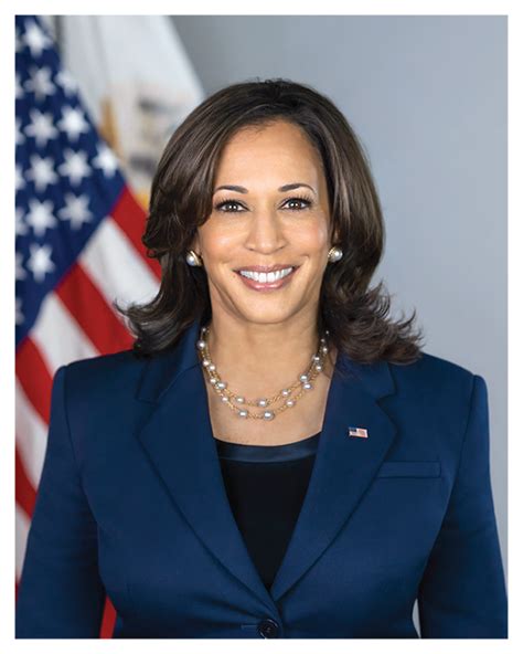 Official Vice Presidential Portrait of Kamala Harris (20x24) | U.S. Government Bookstore