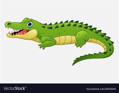 Illustration of Cartoon crocodile isolated on white background. Download a Free Preview or High ...