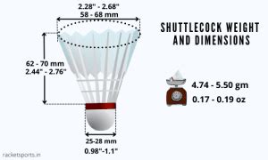 Shuttlecock Weight, Type, Speed, All You Need To Know - RACKET SPORTS.in